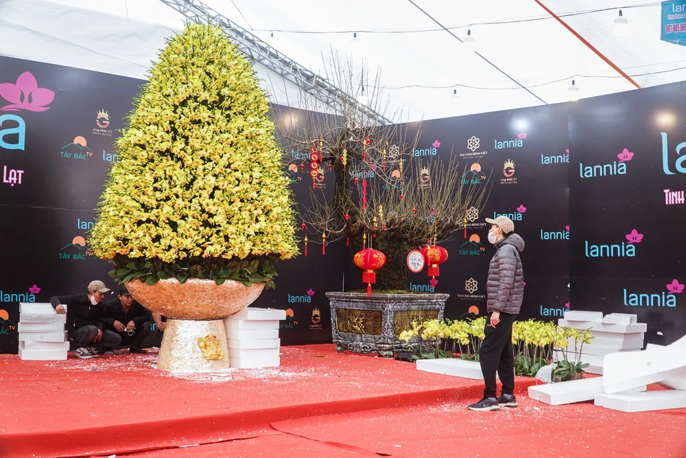 Những ngày giáp Tết Nguyên đán 2023, tại khu vực gần SVĐ Mỹ Đình xuất hiện một chậu hoa lan hồ điệp không lồ đã thu hút nhiều người tới thưởng thức, chiêm ngưỡng.