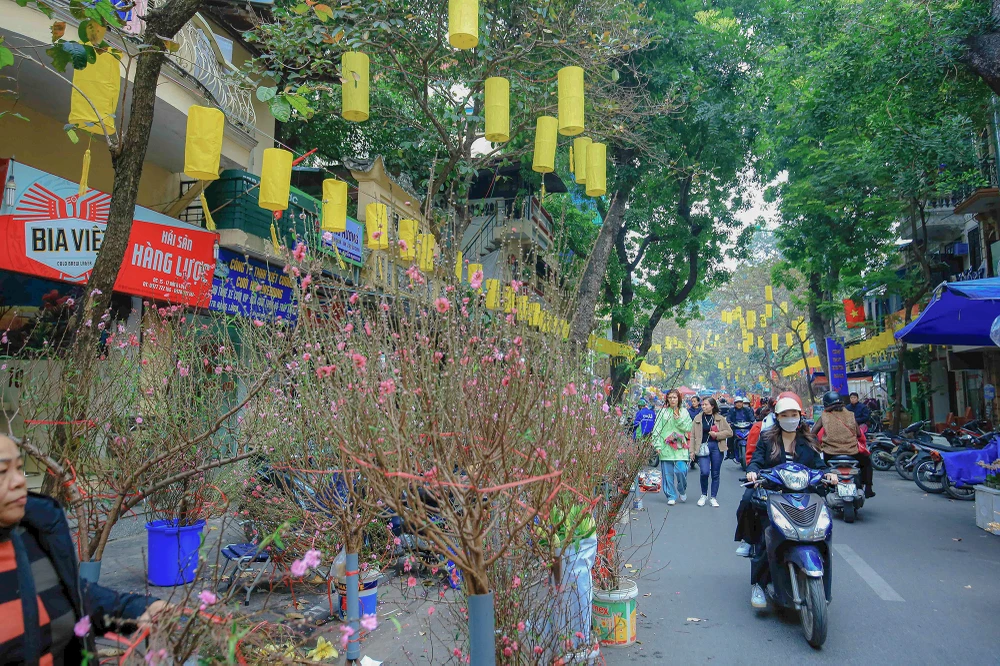 Hà Nội nhiều chợ hoa là vậy, nhưng người dân vẫn giữ thói quen đi chợ hoa Hàng Lược, đôi khi chẳng mua gì, chỉ đến thưởng thức không khí chợ hoa Tết xưa.