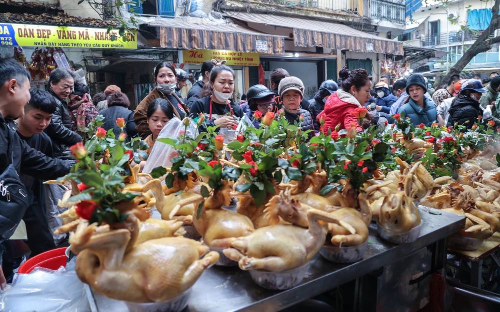 Một chủ cửa hàng bán gà trên phố Gia Ngư cho biết, lượng mua năm nay ước tính gấp đôi Tết Nguyên đán năm ngoái, có những ngày cửa hàng bán được hàng trăm con.