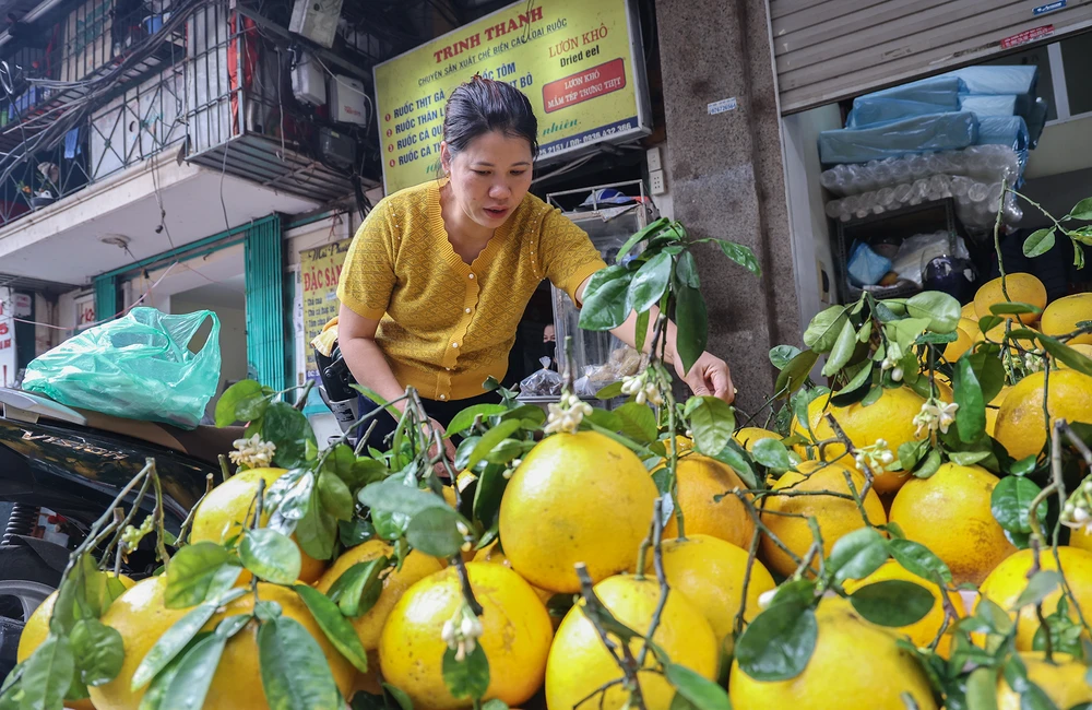 Ngoài các thực phẩm, các loại hoa quả cũng là món đồ không thể thiếu trong mâm cúng.