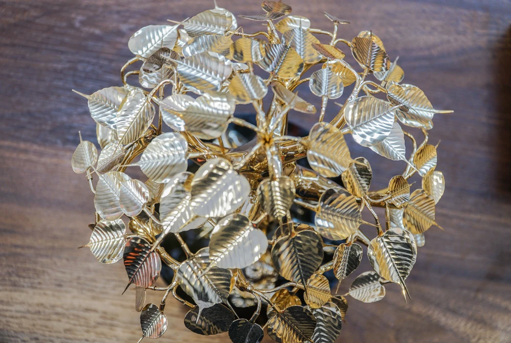 Các cây có kích thước đa dạng có giá từ vài triệu đến cả tỉ đồng.