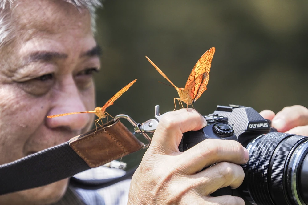 Với những ai yêu thiên nhiên, sự thanh bình thì "thiên đường bướm" ở Cúc Phương là điểm dừng chân lý tưởng khi du ngoạn Ninh Bình vào thời gian này.