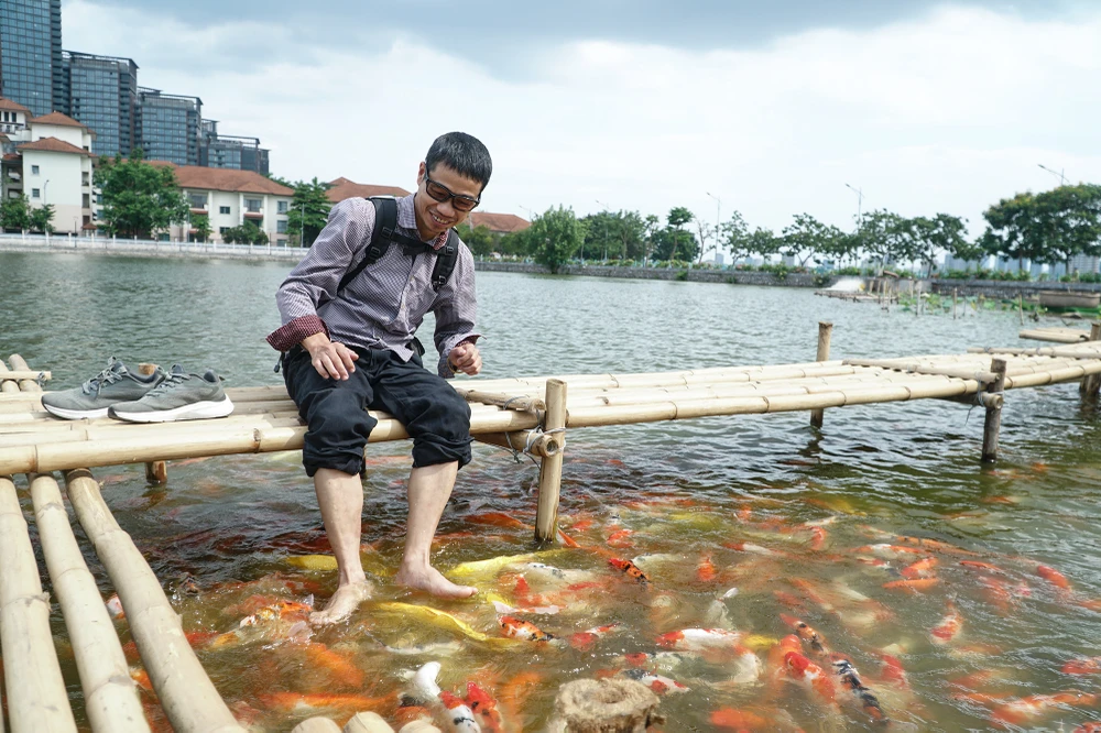 Tùy theo chủng loại, tại thị trường Việt Nam, mức giá trung bình của cá Koi dao động từ 500 nghìn đồng - hàng chục triệu đồng/con. Đáng chú ý, trên thế giới, có những cá thể cá Koi có giá bán lên tới hàng triệu USD.