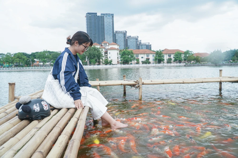 Minh Hiểu (20 tuổi) cho biết: "Đây là lần đầu tiên em được chứng kiến đàn cá Koi với số lượng lớn như vậy, chúng khá thân thiện với con người khiến em và mọi người rất thích thú".