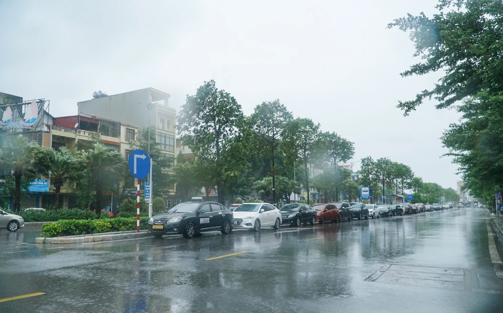 Hình ảnh ô tô xếp hàng dài trên một con phố của TP Hạ Long.