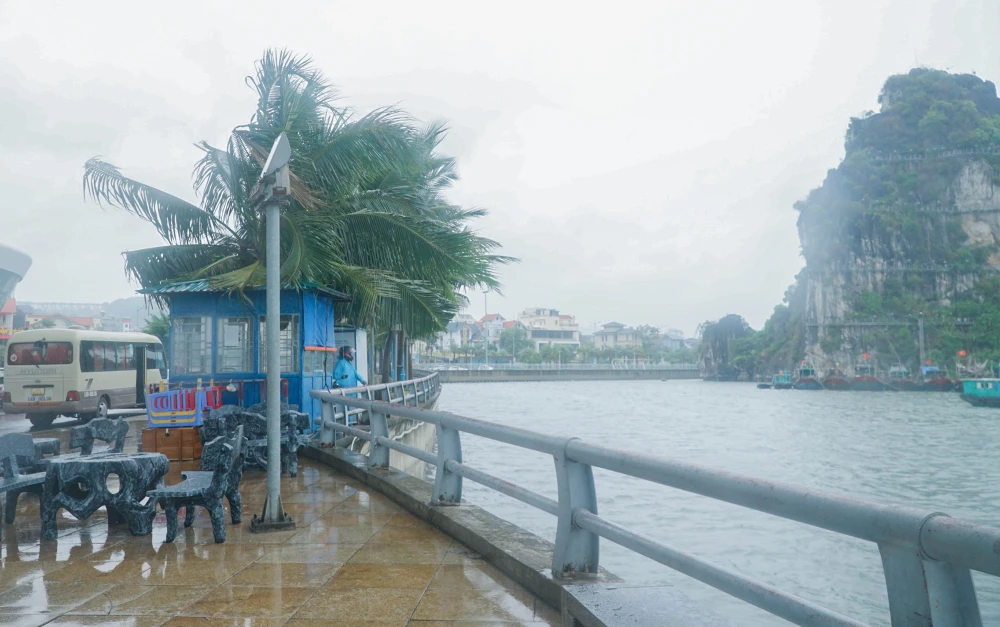 Ông Vũ Văn Diện, Phó Chủ tịch UBND tỉnh, cho biết Quảng Ninh đã có công điện chỉ đạo triển khai các biện pháp ứng phó với cơn bão; đồng thời, phân công ba đoàn công tác do các lãnh đạo UBND tỉnh trực tiếp chỉ đạo, kiểm tra công tác phòng, chống bão theo phương châm “3 trước, 4 tại chỗ”.