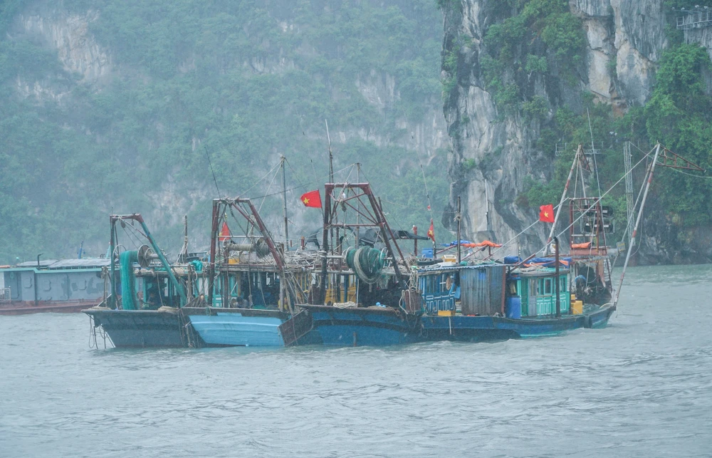 Mục tiêu là đảm bảo tuyệt đối an toàn về người, hạn chế thấp nhất những thiệt hại về tài sản.