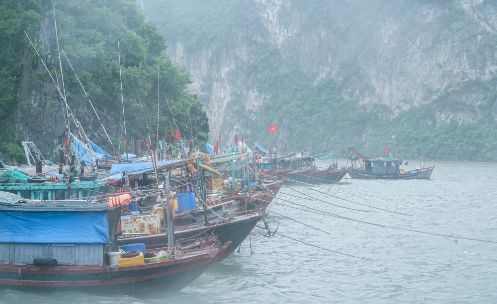 Tỉnh cũng yêu cầu các đơn vị liên quan tổ chức rà soát, kiểm đếm, hướng dẫn tàu thuyền, các hoạt động nuôi trồng, đánh bắt thủy sản di chuyển về nơi tránh trú an toàn; thực hiện ứng trực, canh gác 24/24 giờ thường xuyên tại các vị trí xung yếu; kiểm soát, tổ chức phân luồng, hướng dẫn giao thông, hạn chế người dân đi lại trong thời gian bão đổ bộ, mưa lớn để đảm bảo an toàn.