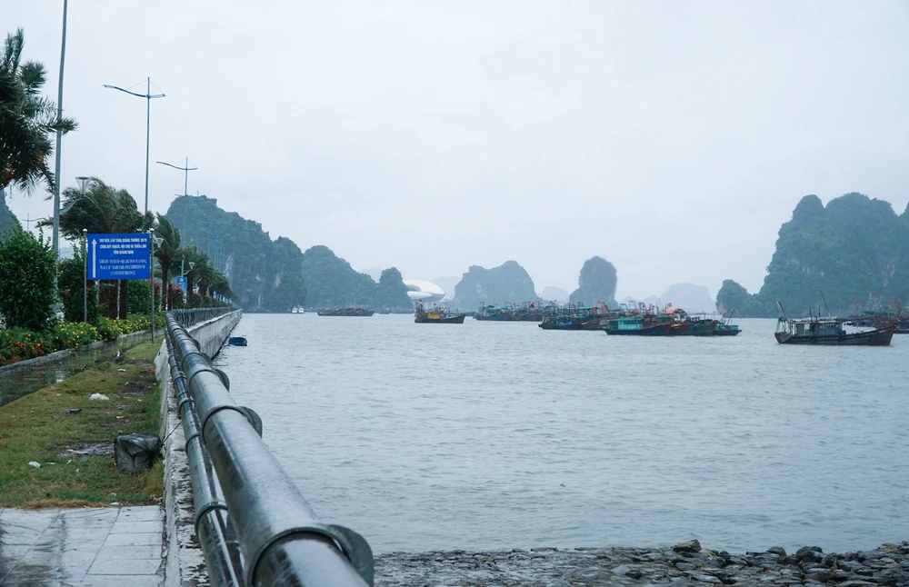 Thông tin mới nhất từ Đài khí tượng thủy Quảng Ninh cho hay hồi 10 giờ, vị trí tâm bão ở vào khoảng 21,8 độ Vĩ Bắc; 108,4 độ Kinh Đông, trên đất liền khu vực phía Nam tỉnh Quảng Tây (Trung Quốc), cách Móng Cái (Quảng Ninh) khoảng 60 km về phía Đông Đông Bắc. Sức gió mạnh nhất vùng gần tâm bão mạnh cấp 9 (75-88 km/giờ), giật cấp 11.