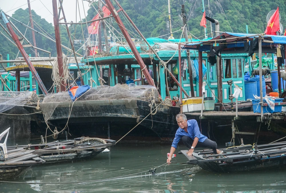 Các ngư dân cho biết, dù đang dở dang công việc nhưng nghe tin có bão họ phải quay về để đảm bảo an toàn. Ảnh: PHI HÙNG