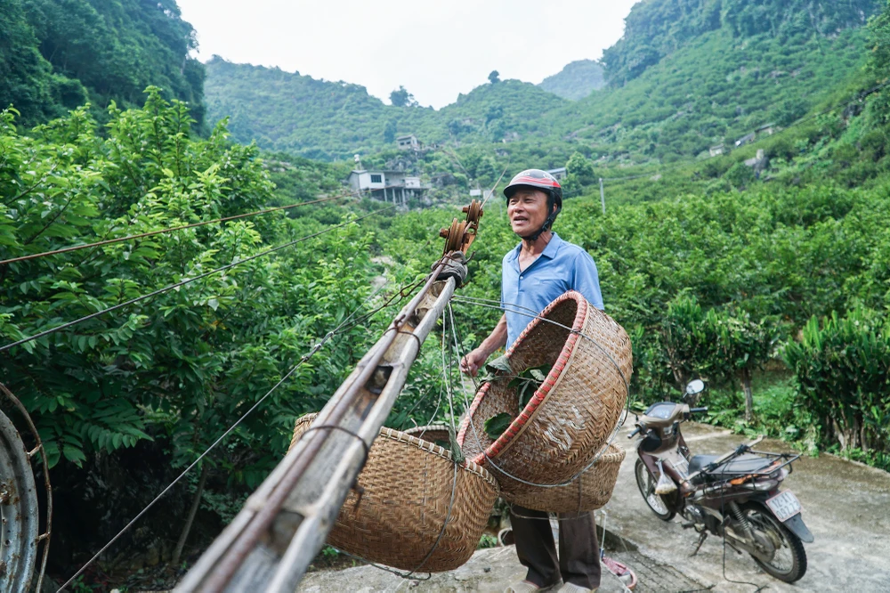 Là chủ vườn na bở, có khoảng 700 gốc cây, ông Lê Hải Dũng – vườn na số 6, thị trấn Đồng Mỏ, tỉnh Lạng Sơn) cho biết, trung bình mỗi năm trước tôi bán được khoảng 6 tấn na, năm nay ước tính sản lượng sẽ nhiều hơn. Theo ông Dũng, mỗi ngày khách đặt hơn một đến hai tạ na. Là chủ vườn na bở, có khoảng 700 gốc cây, ông Lê Hải Dũng – vườn na số 6, thị trấn Đồng Mỏ, tỉnh Lạng Sơn) cho biết, trung bình mỗi năm trước tôi bán được khoảng 6 tấn na, năm nay ước tính sản lượng sẽ nhiều hơn. Theo ông Dũng, mỗi ngày khách đặt hơn một đến hai tạ na.