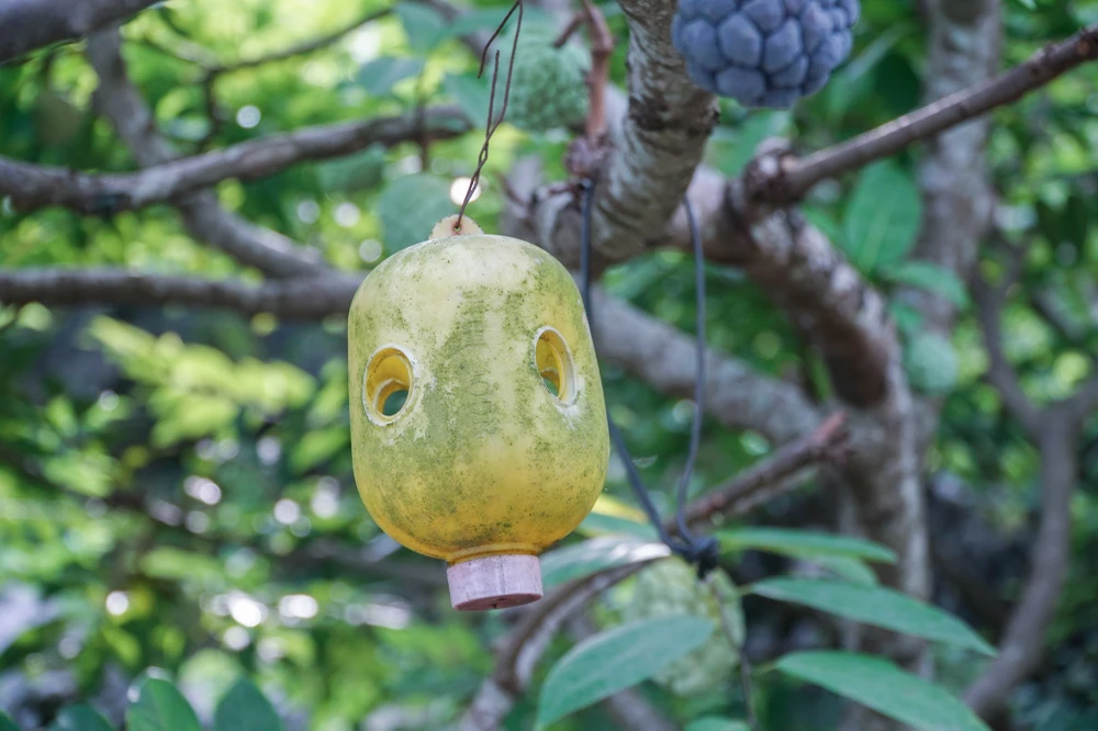 Người dân đặt bẫy ruồi vàng góp phần nâng cao chất lượng sản phẩm tới tay người tiêu dùng. Người dân đặt bẫy ruồi vàng góp phần nâng cao chất lượng sản phẩm tới tay người tiêu dùng.