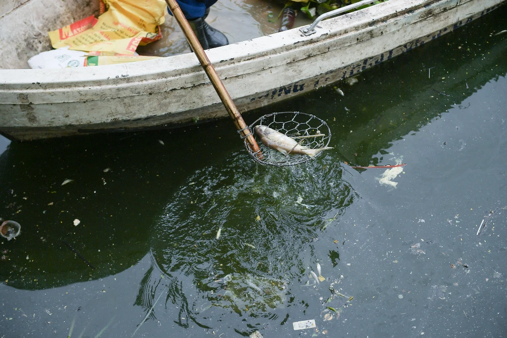 ca-chet-ho-tay (6).JPG