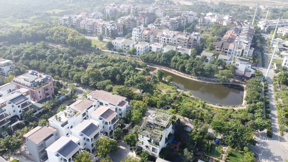 biệt thự Hà Nội trồng rau