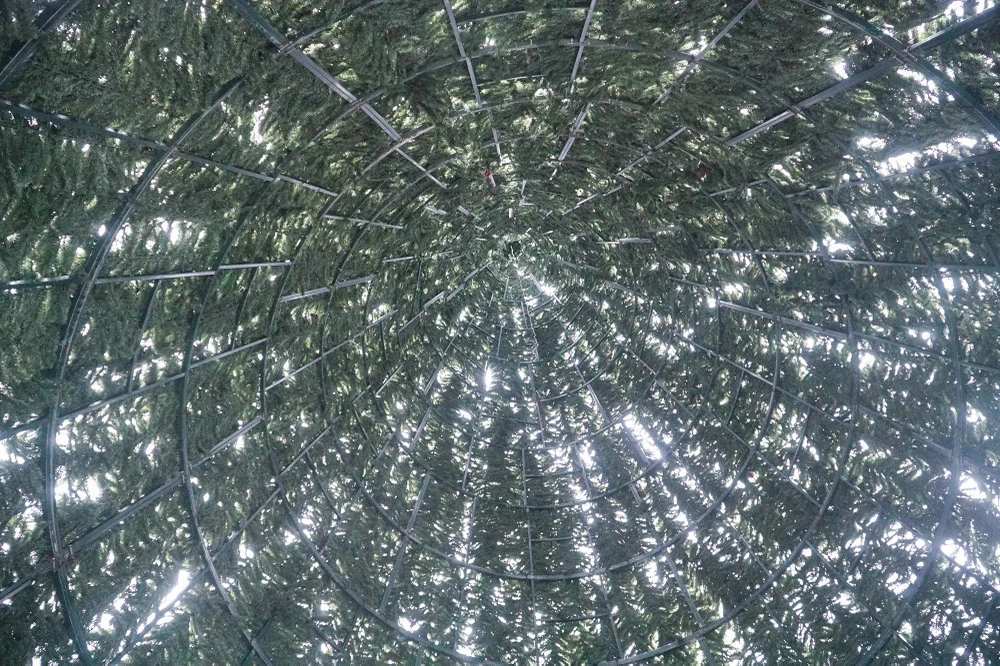 Cận cảnh những cây thông noel 'khổng lồ' ở Hà Nội phục vụ dịp Giáng sinh 2023