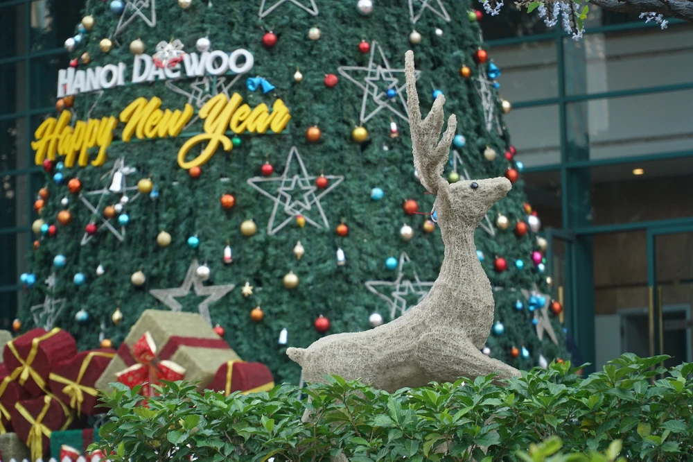 Cận cảnh những cây thông noel 'khổng lồ' ở Hà Nội phục vụ dịp Giáng sinh 2023