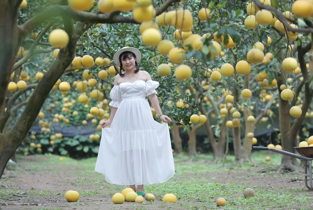 vuon-buoi-ha-noi (3).jpg