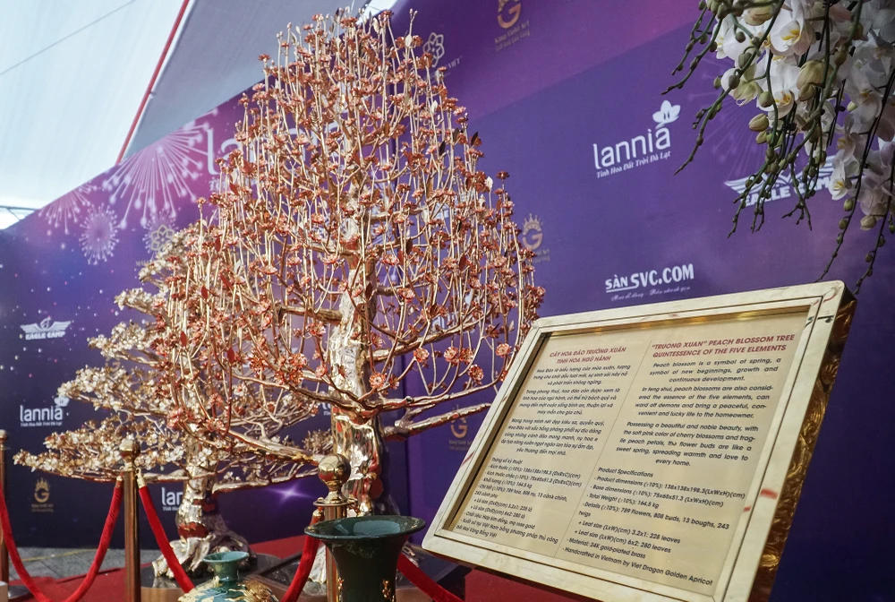 hoa-dao-dat-vang (10).JPG