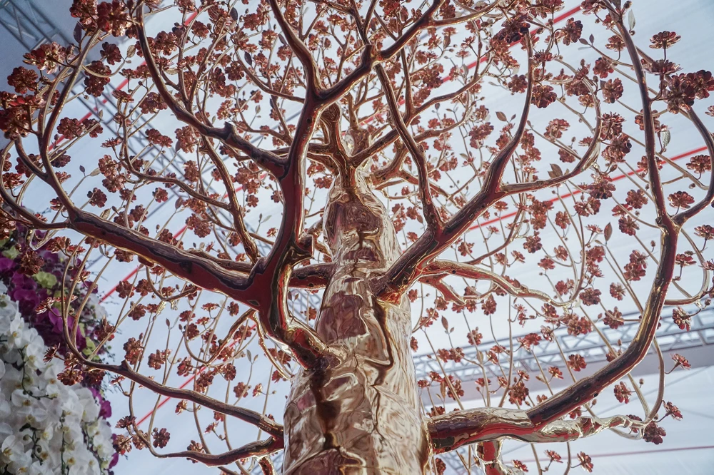 hoa-dao-dat-vang (8).JPG