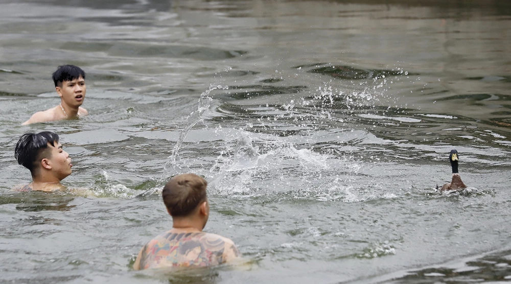 hoi-thi-bat-vit (10).jpg