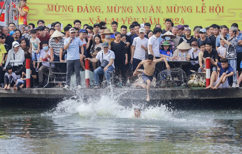 hoi-thi-bat-vit (3).jpg