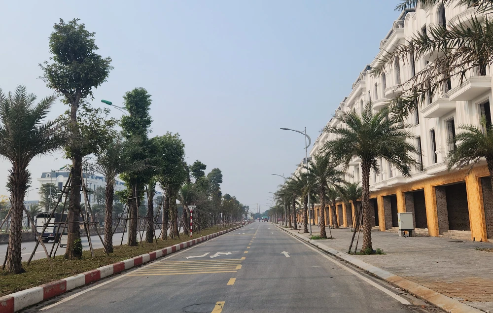 du-an-phuc-son (12).jpg