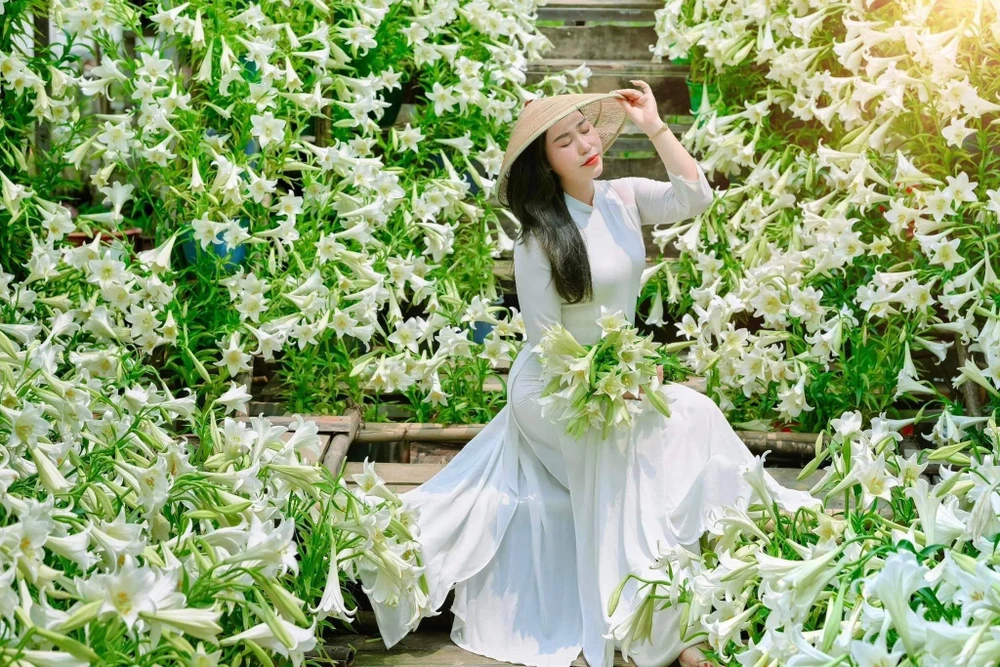 hoa-loa-kèn (12).jpg