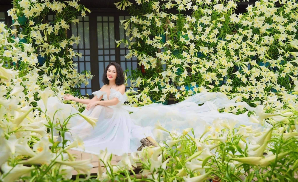 hoa-loa-kèn (8).jpg