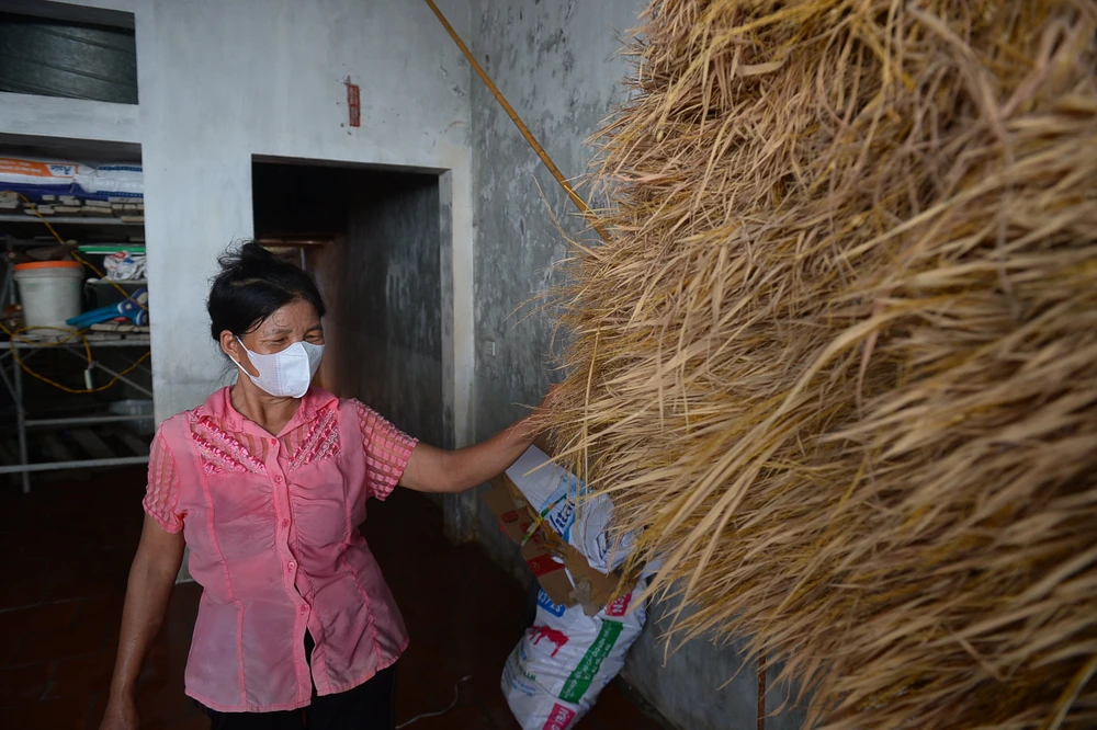 don-dep-sau-lu (2).jpg