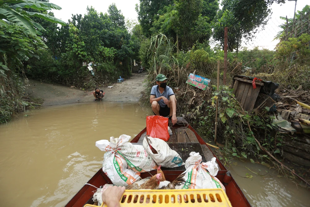 nuoc-song-hong (2).jpg