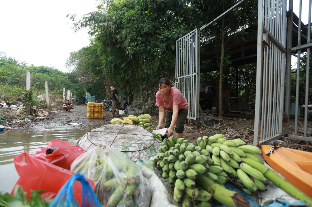 nuoc-song-hong (3).jpg