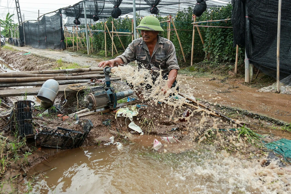 lang-hoa-tay-tuu (2).jpg