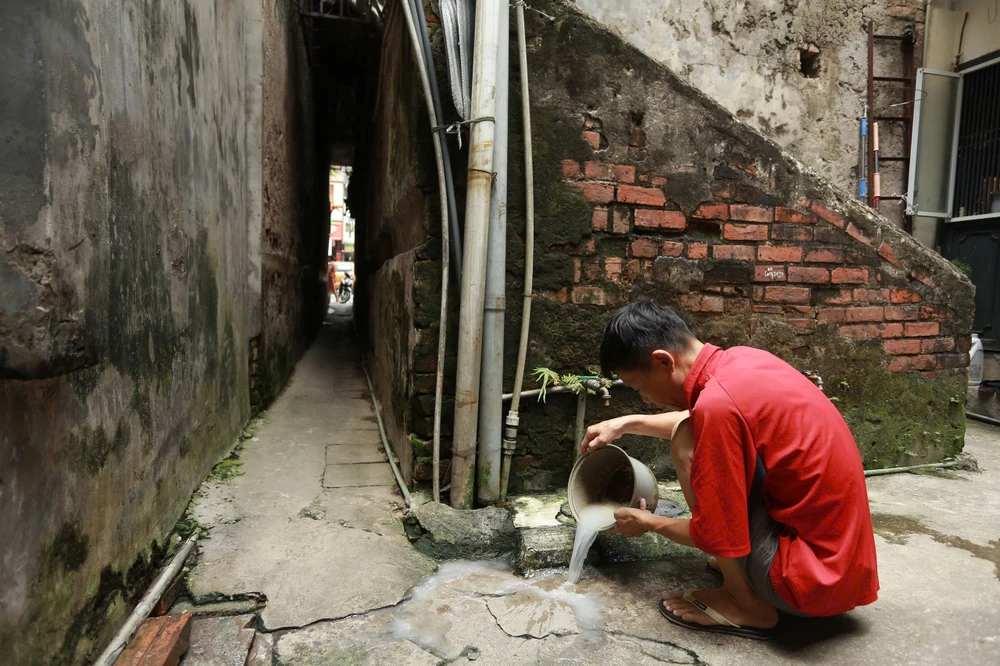 ngo-nho-ha-noi (1).jpg