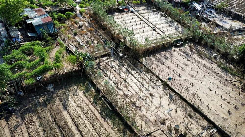 dao-nhat-tan (4).jpg