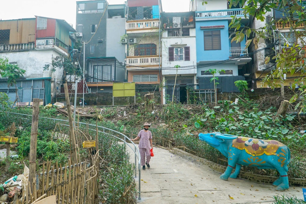 ven-song-hong (14).jpg