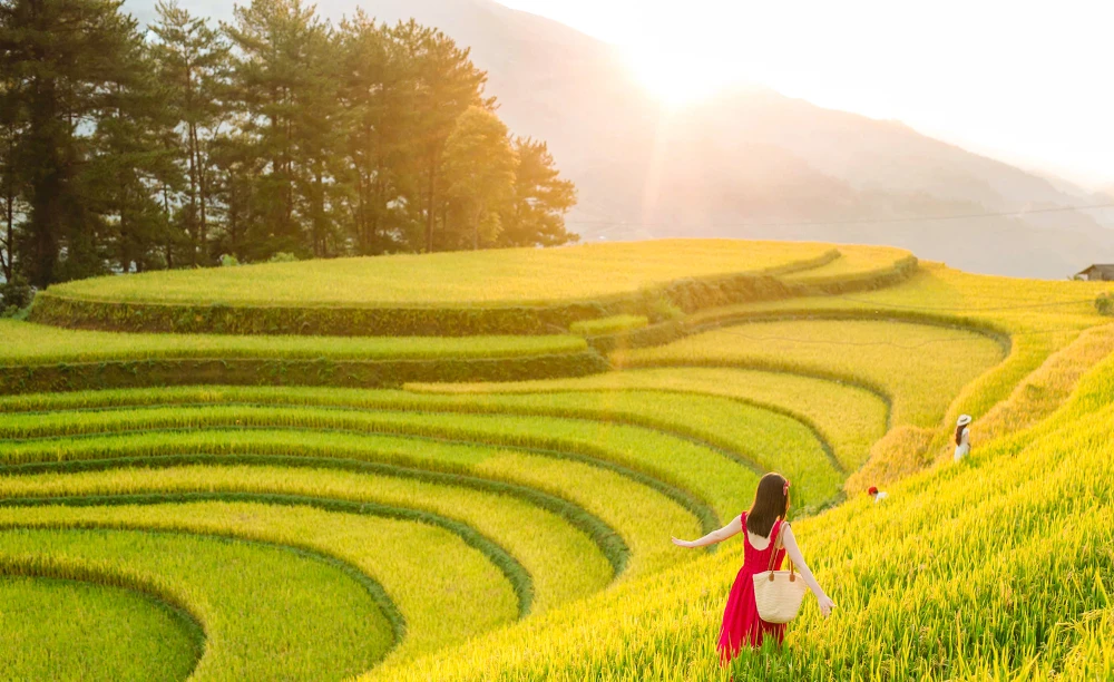 mu-cang-chai (11).jpg