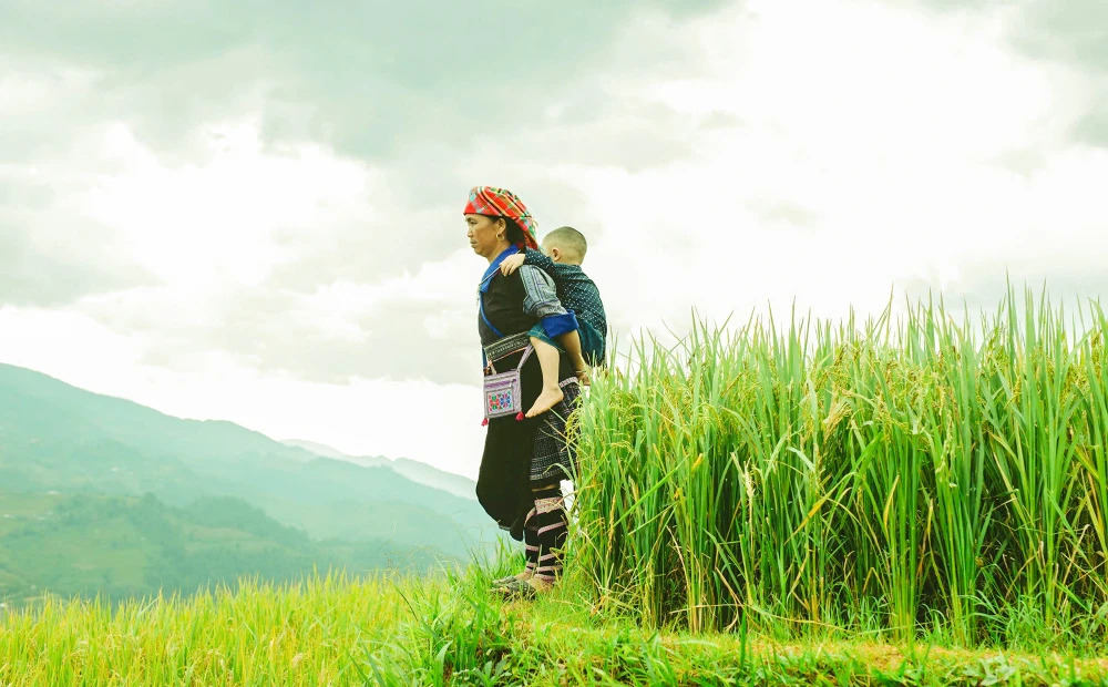 mu-cang-chai (6).jpg