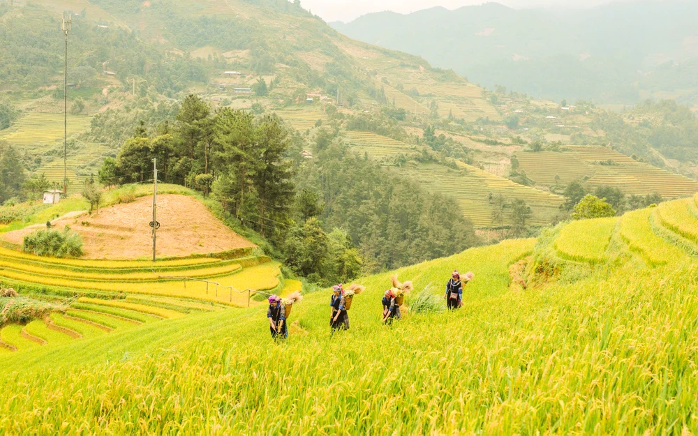 mu-cang-chai (8).jpg