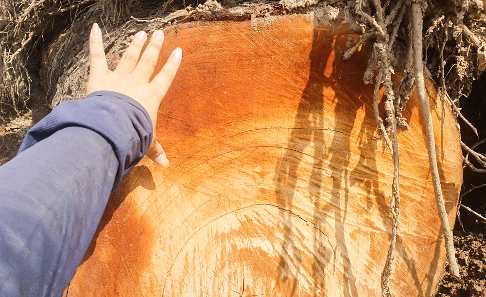 bai-tap-ket-go (11).jpg