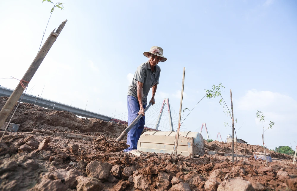 dao-nhat-tan (10).JPG