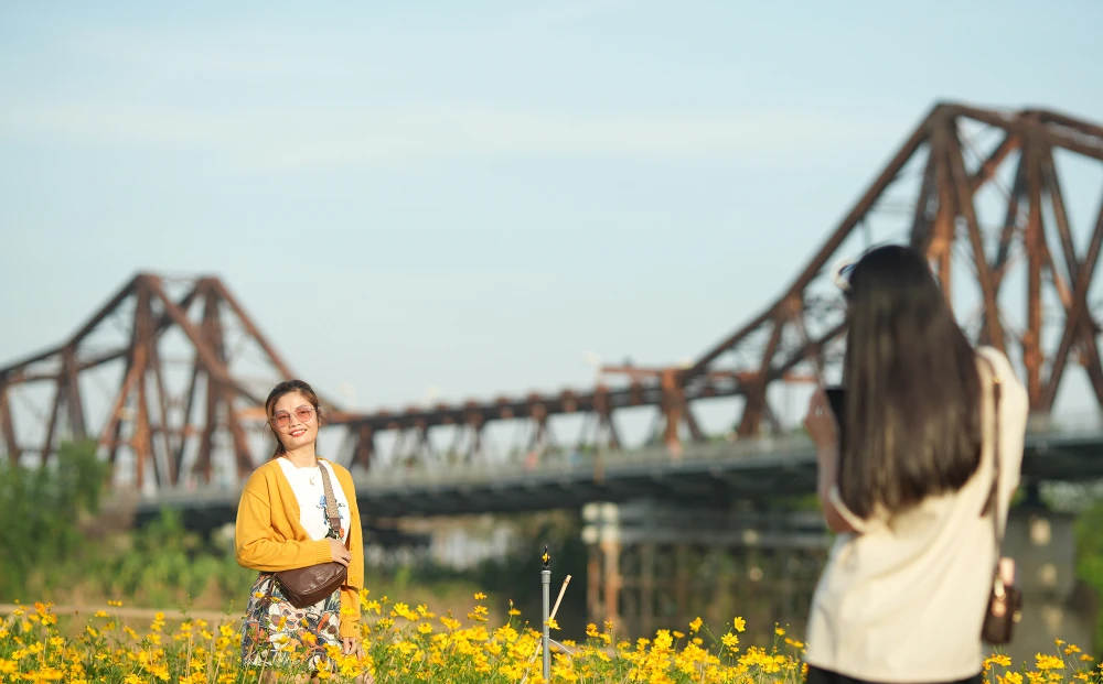 vuon-hoa-cuc (3).JPG