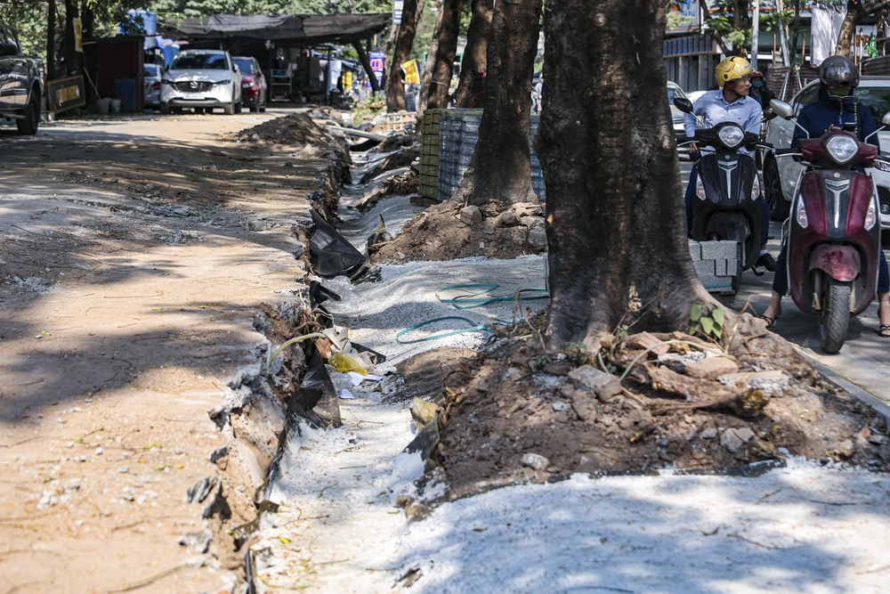 lat-da-via-he (5).jpg