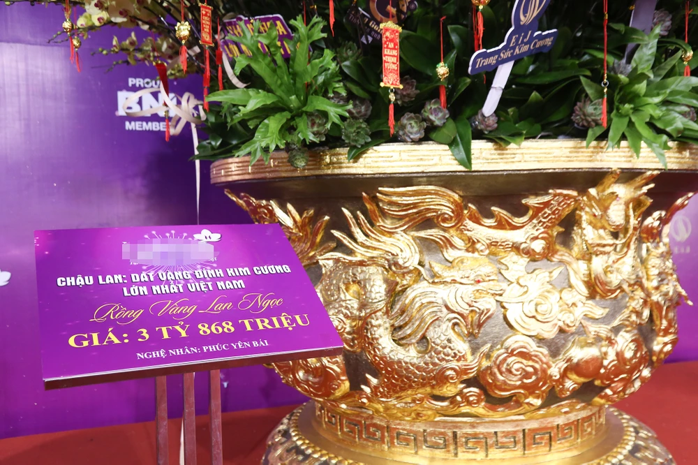 hoa-lan-ho-diep (1).JPG