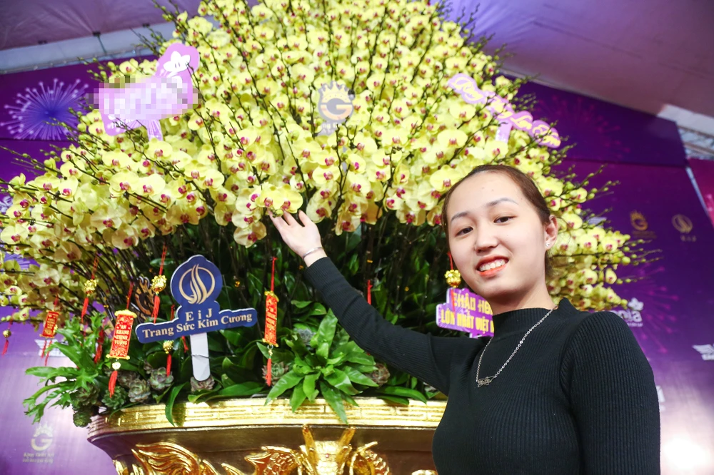 hoa-lan-ho-diep (11).JPG