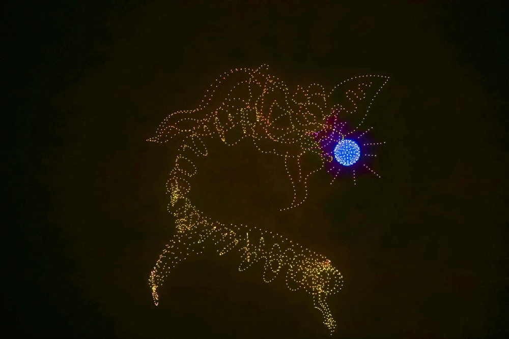 trinh-dien-anh-sang (10).jpg