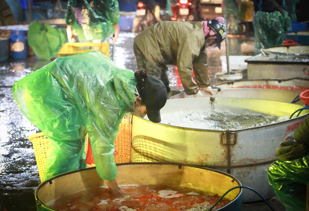 ong-cong-ong-tao (2).jpg