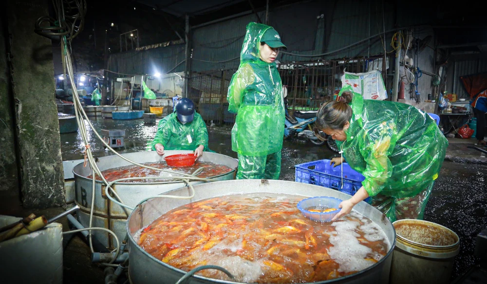 ong-cong-ong-tao (3).jpg