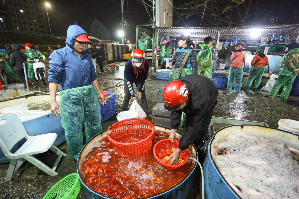 ong-cong-ong-tao (4).jpg