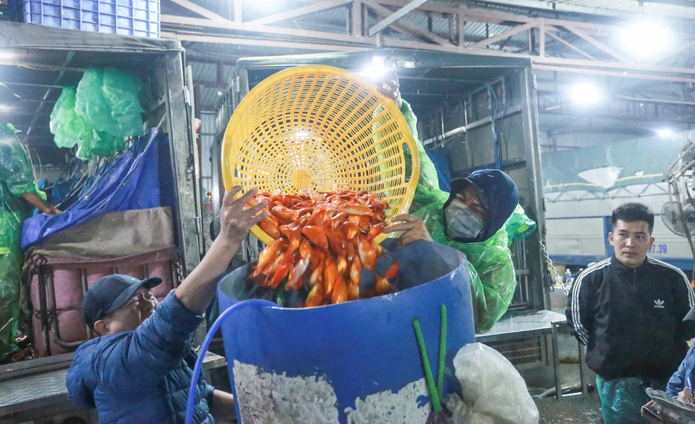 ong-cong-ong-tao (7).jpg