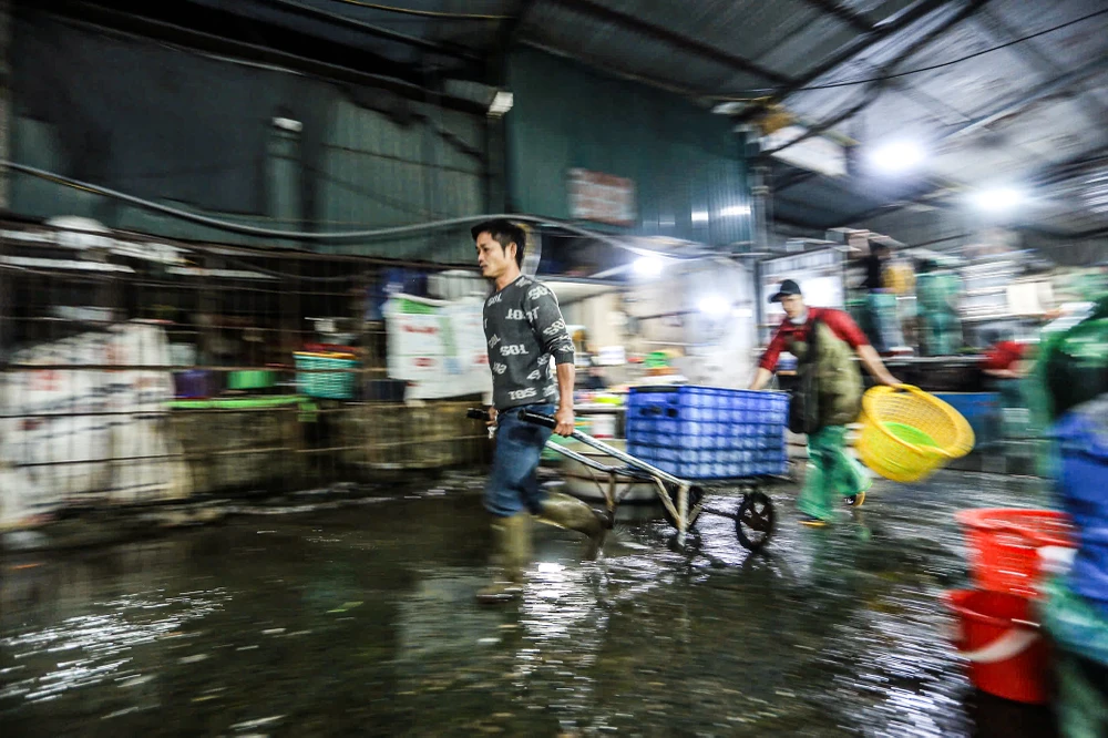 ong-cong-ong-tao (8).jpg